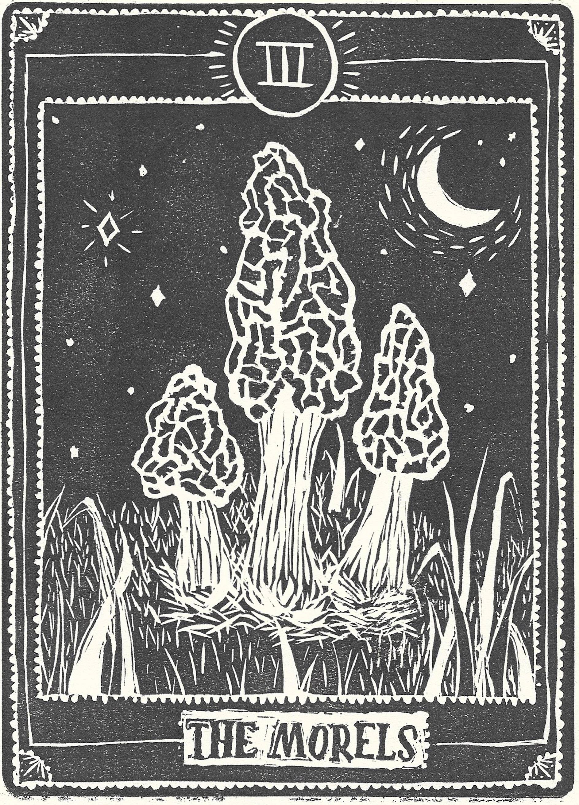 black and white print of moral mushroom